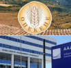 Επιχείρηση «καθαρά χέρια» στις αγροτικές ενισχύσεις – Η ΑΑΔΕ παίρνει τα κλειδιά του ΟΠΕΚΕΠΕ