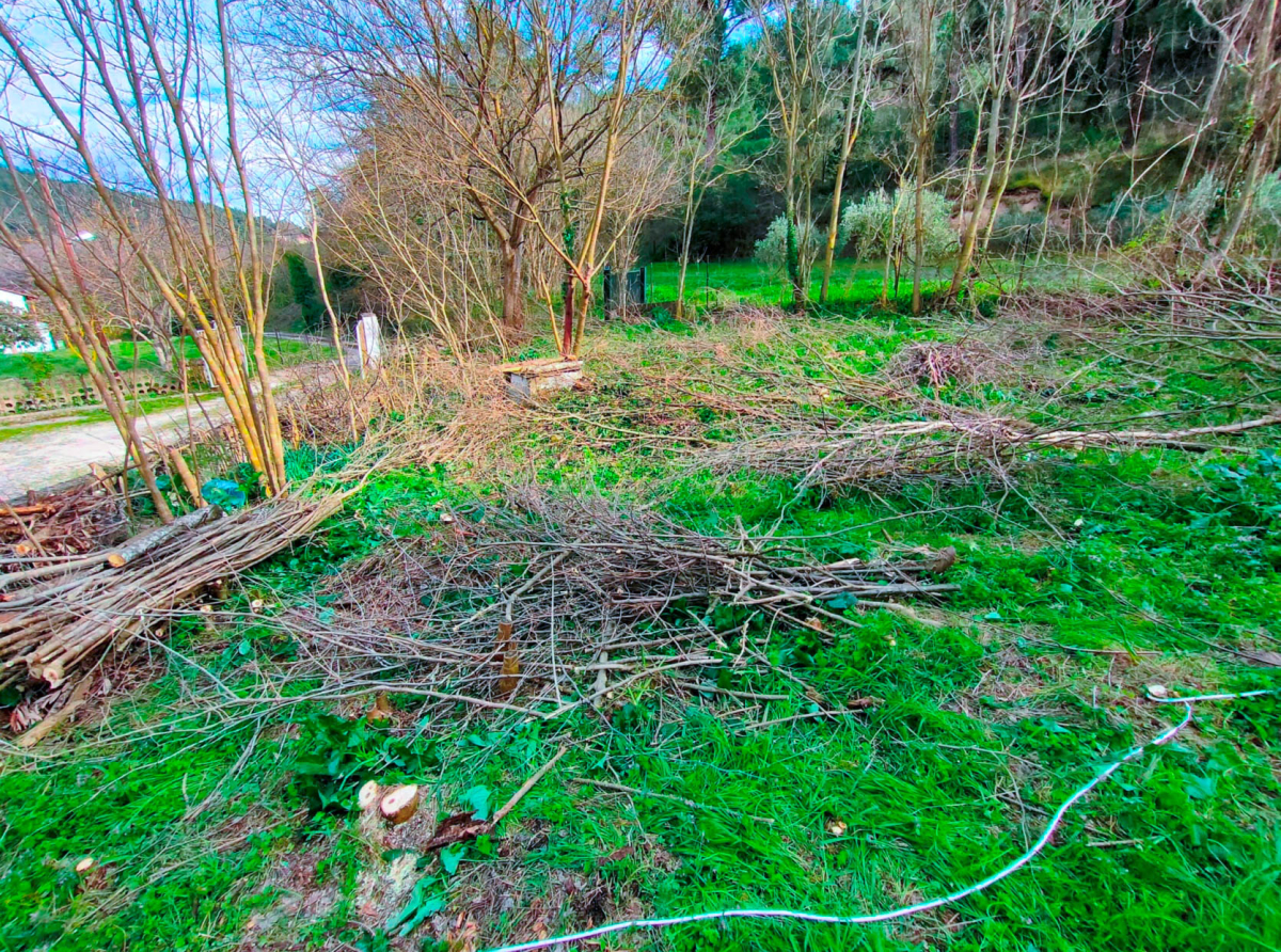 Δημοσιεύθηκε η ΚΥΑ για τα μέτρα προληπτικής πυροπροστασίας και τον καθαρισμό οικοπέδων