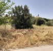 Τέλος χρόνου για τις δηλώσεις για τα ακαθάριστα οικόπεδα: Δεν θα δοθεί άλλη παράταση – Τα πρόστιμα και οι κυρώσεις